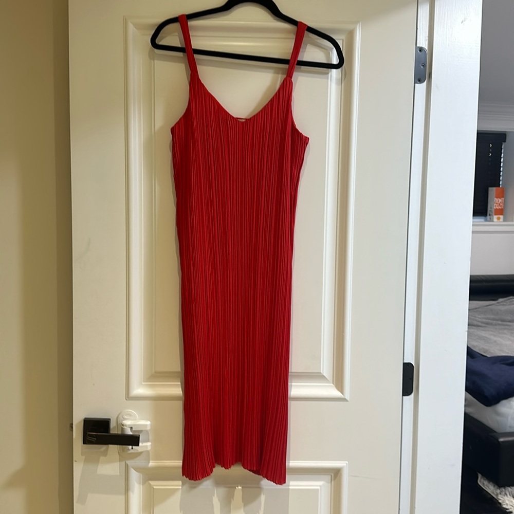 Little Moon-Brand from Aritzia crinkle Dress